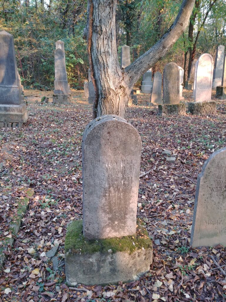 Fotografija groba